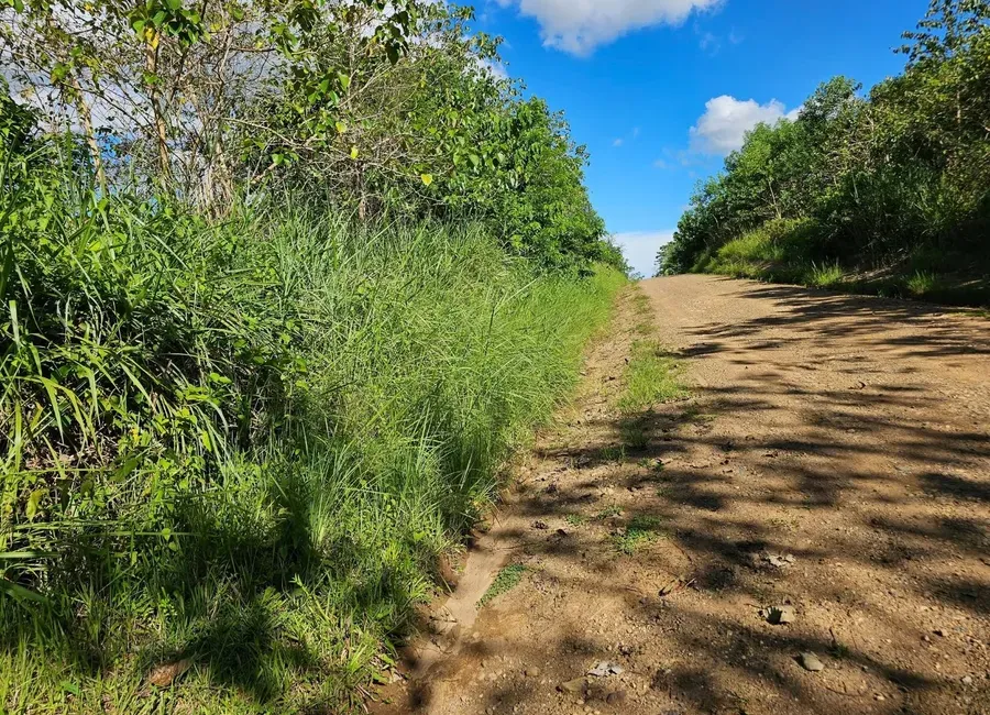 İfrazlı Arsa Ne Demek? A’dan Z’ye Bilmeniz Gerekenler