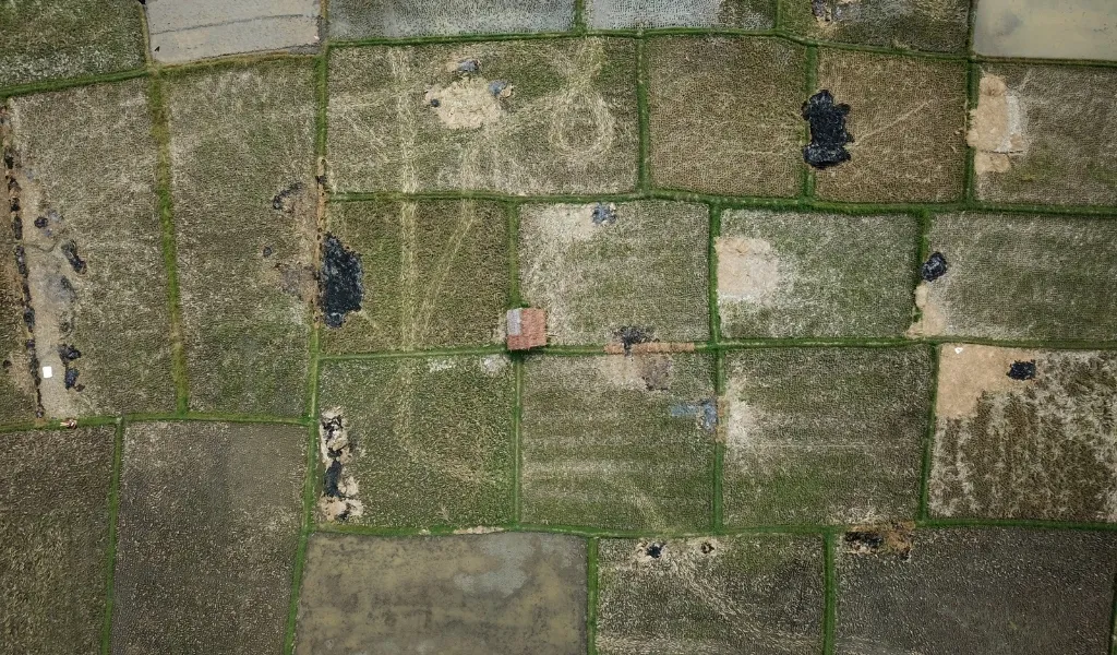 Tarla ve arsa farkı